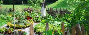 Ein wachsender Kräuter- und Gemüsegarten
