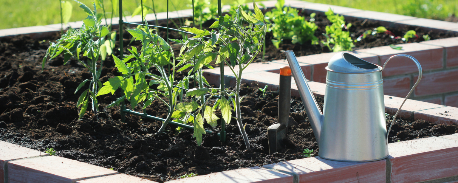 Ein gepflegtes Hochbeet kann Ihren Garten aufwerten