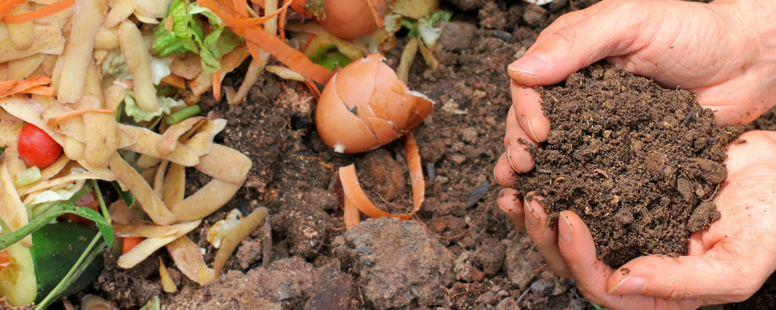 Kompostieren mit Küchenabfällen leicht gemacht