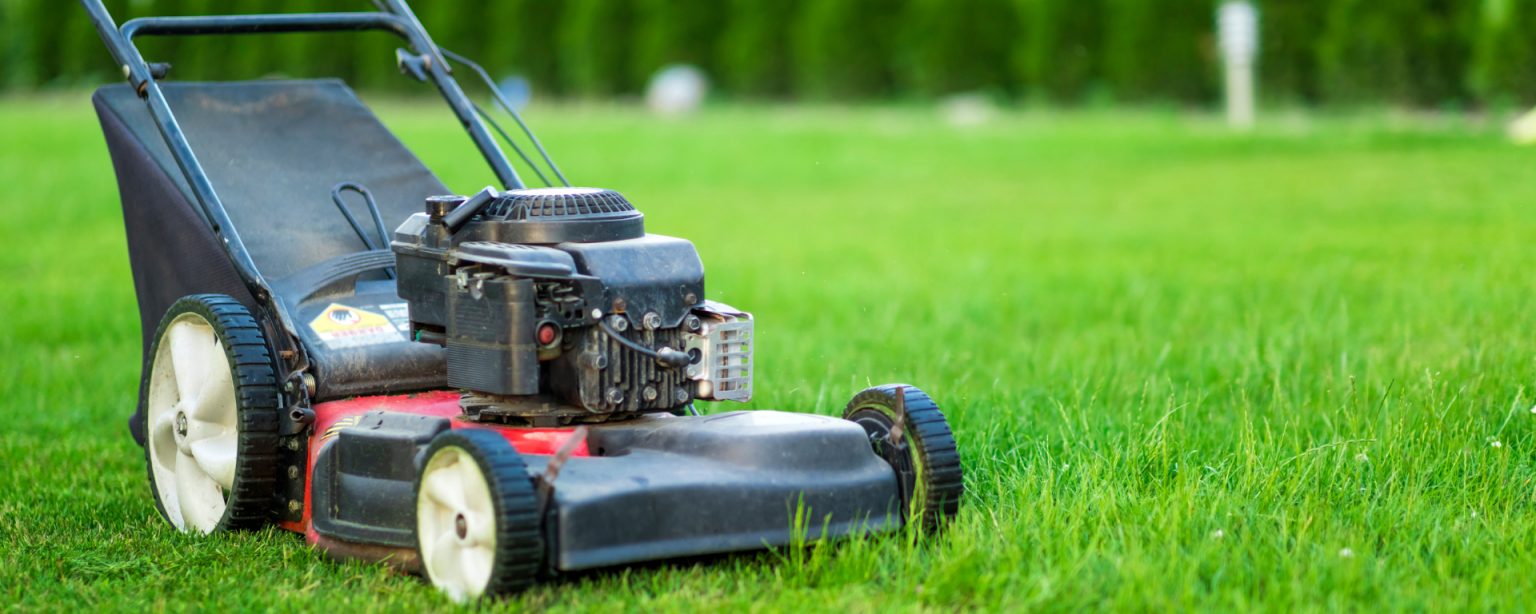 Rasenpflege bedeutet vor allem regelmäßiges Rasenmähen